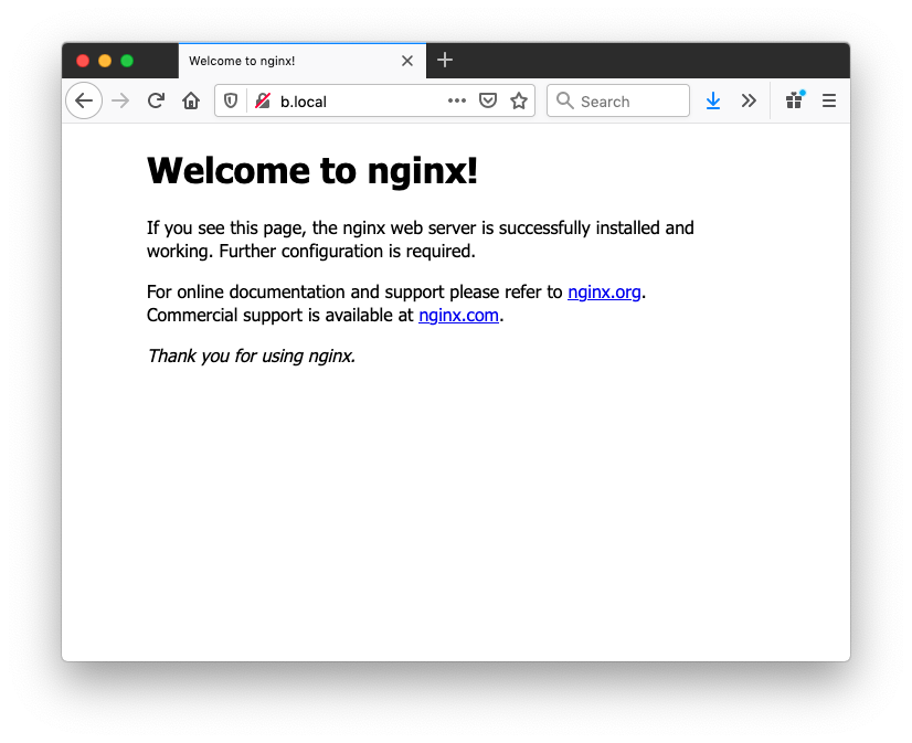 A screenshot of the default Nginx page