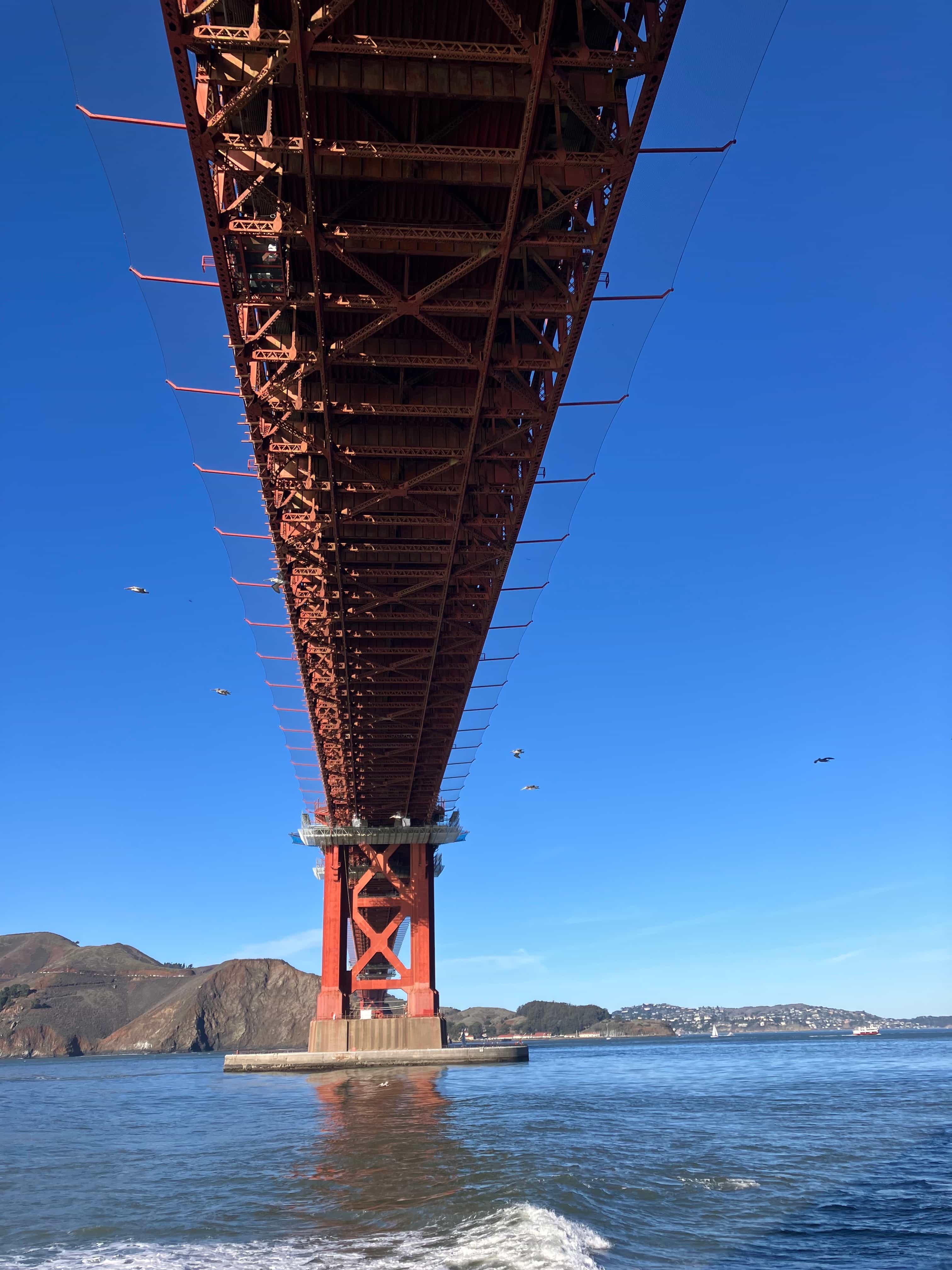 A photograph from under the Golden Gate Bridge